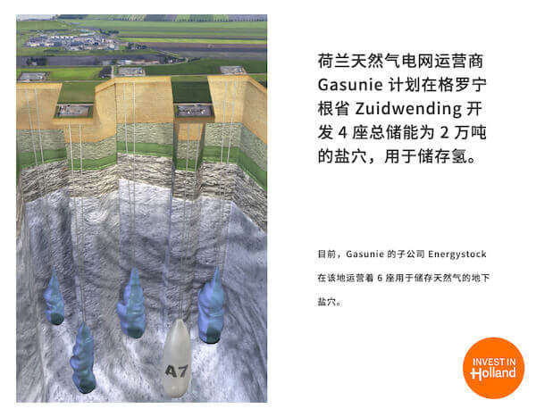 荷蘭努力串起全球氫經濟.jpg